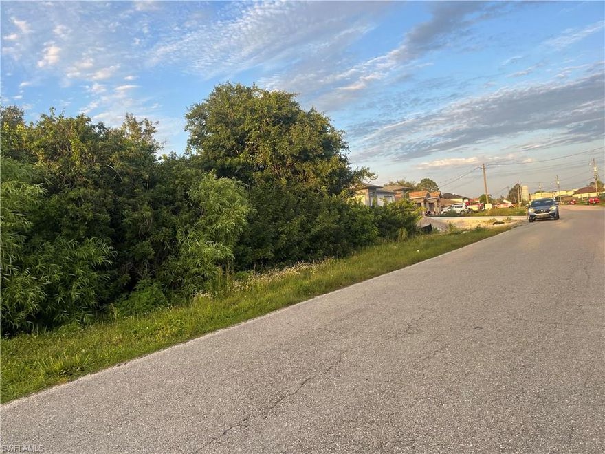 Build your dream home on this beautiful, nice and clean, this lot is minutes to Estero, Ft Myers, Shopping, Schools, hospital, I75, RWS Airport,