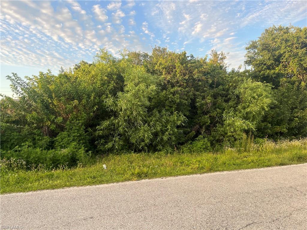 LEHIGH ESTATES - Land