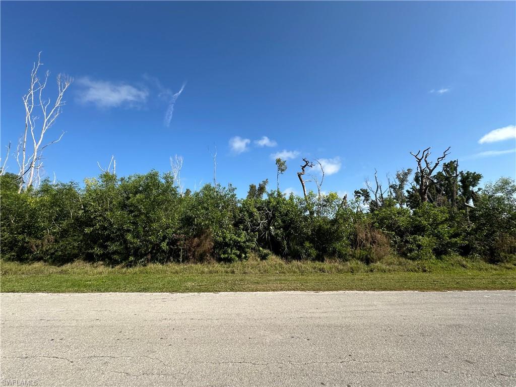 PINE ISLAND VILLAS - Land