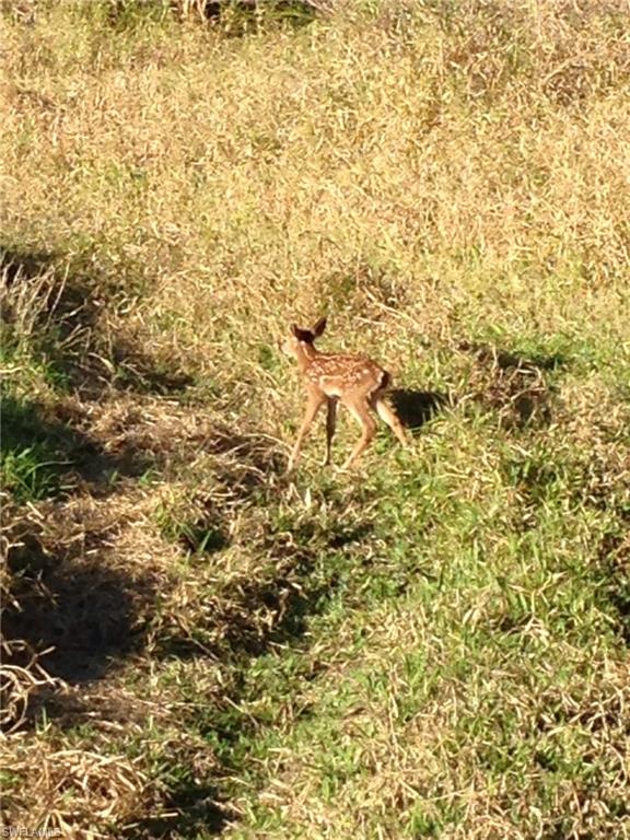 GOLDEN GATE ESTATES - Land
