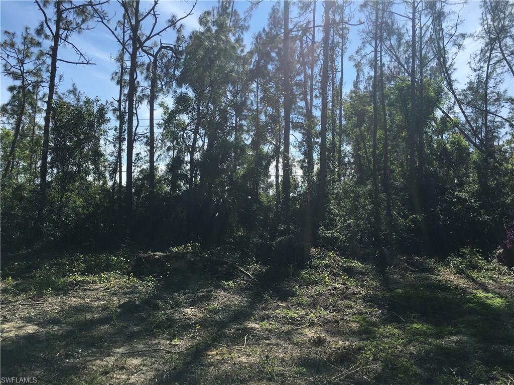 SAN CARLOS ESTATES - Land