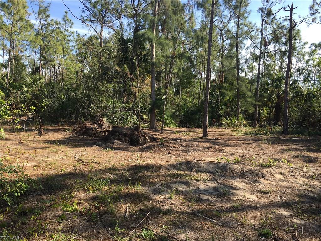 SAN CARLOS ESTATES - Land