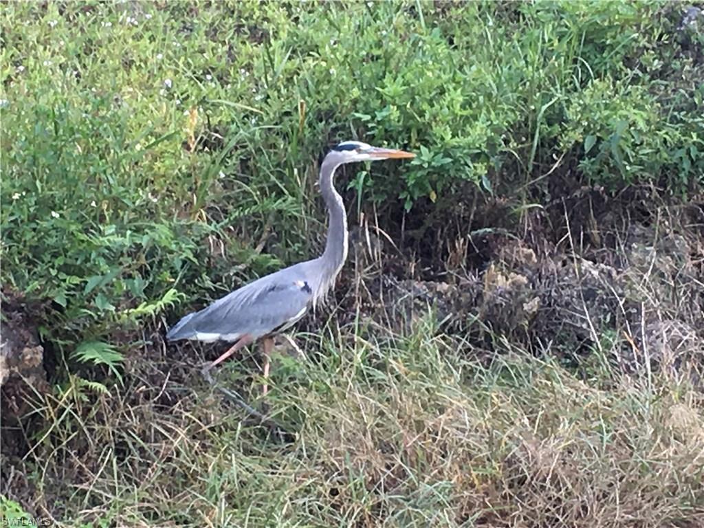 SAN CARLOS ESTATES - Land