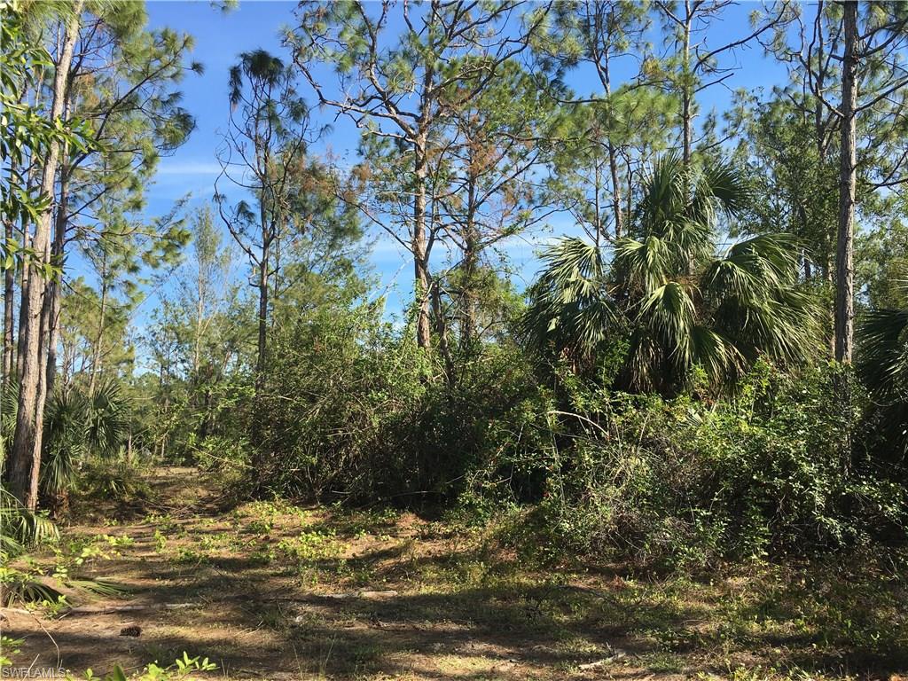 SAN CARLOS ESTATES - Land