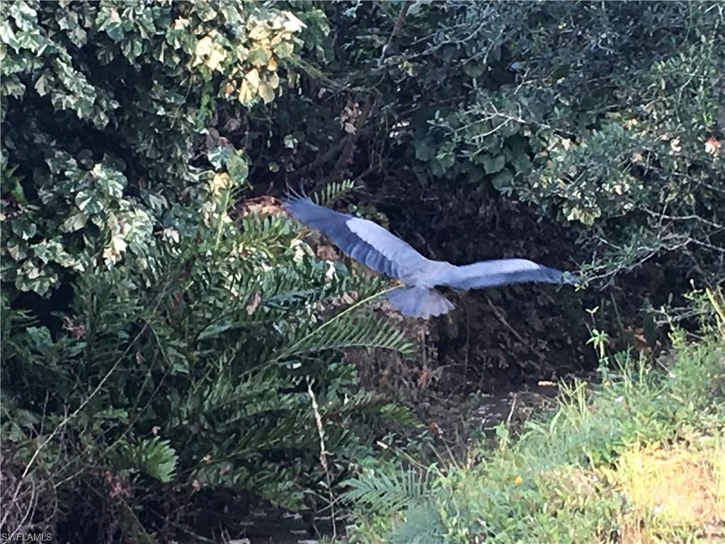 SAN CARLOS ESTATES - Land