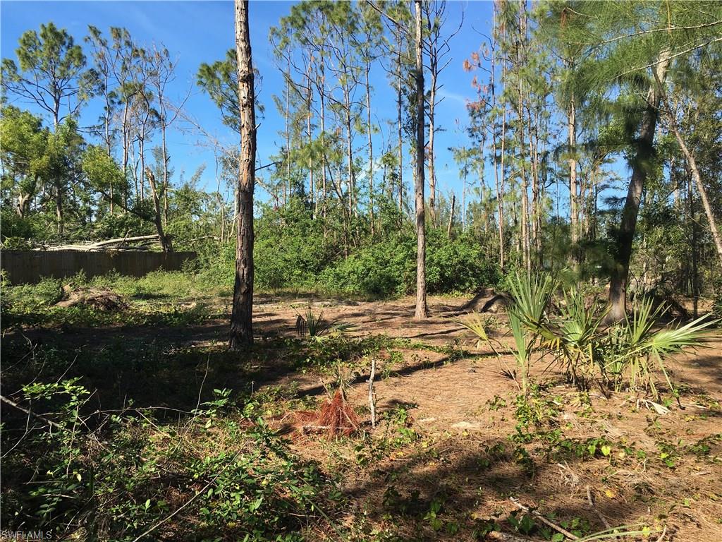 SAN CARLOS ESTATES - Land