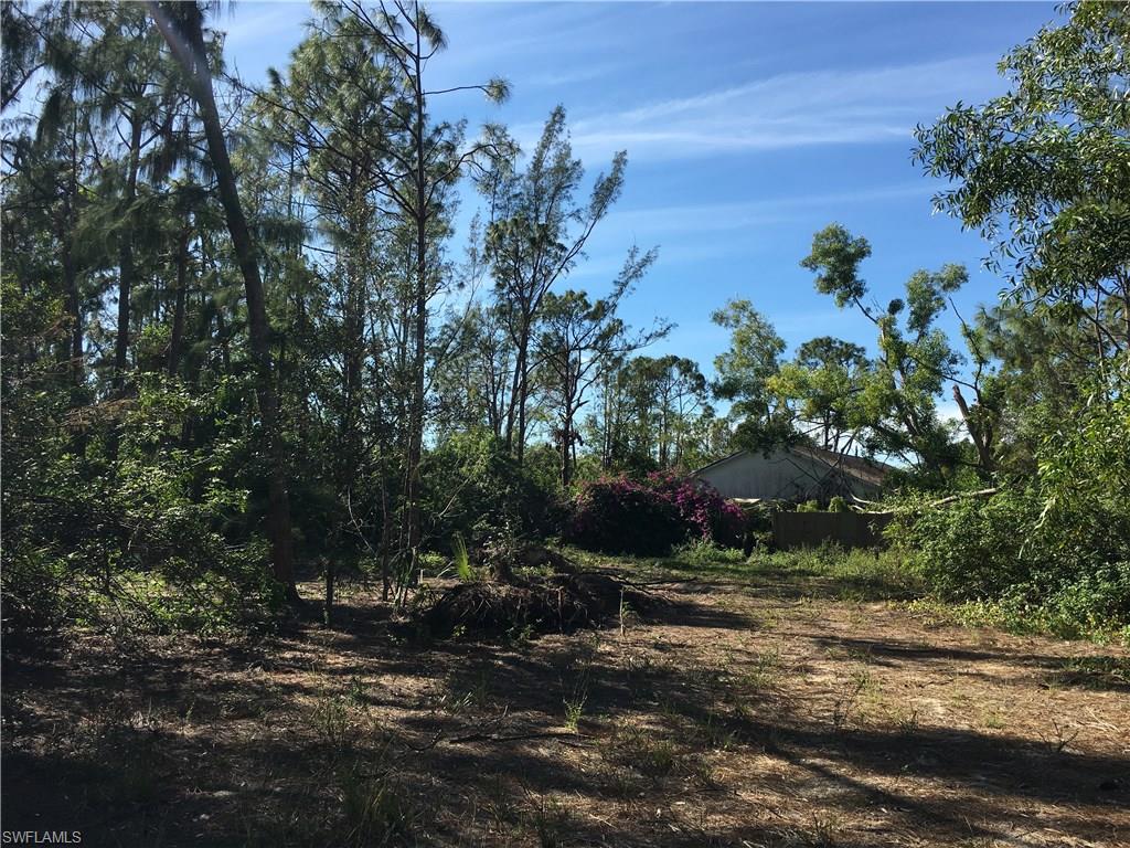 SAN CARLOS ESTATES - Land