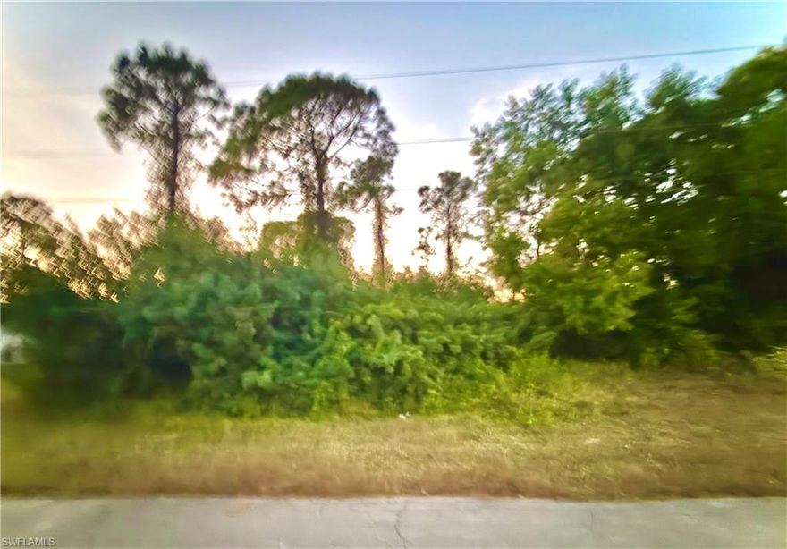 GREAT LOCATION on a quiet paved street with utilities! Just minutes from major amenities with a quick commute to Fort Myers! Come build your DREAM HOME or INVEST today!