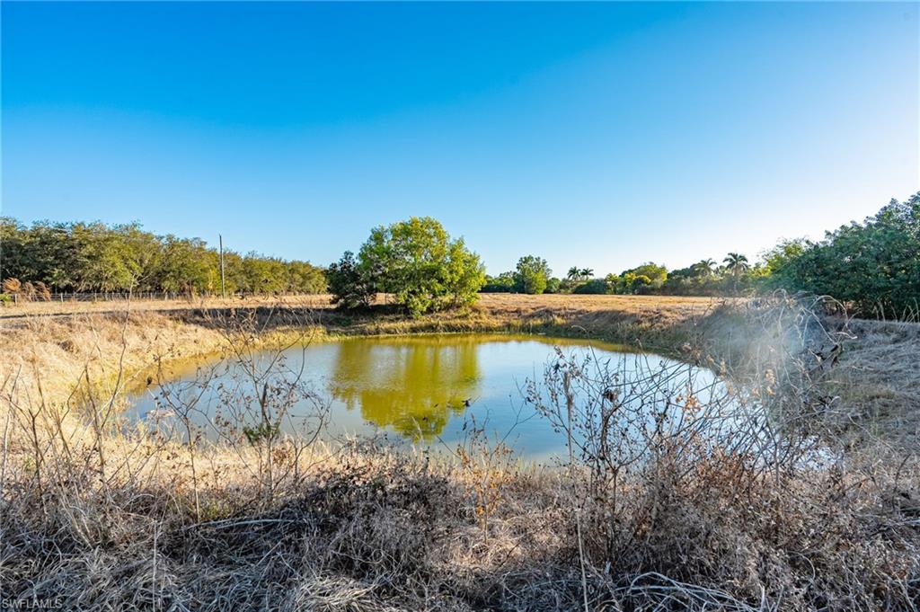 BURGUNDY FARMS - Land