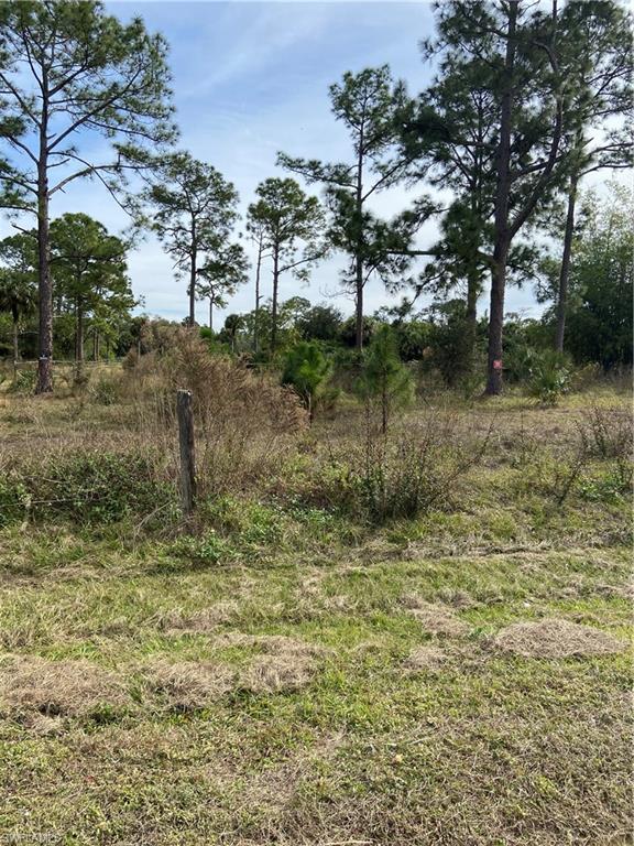 GOLDEN GATE ESTATES - Land