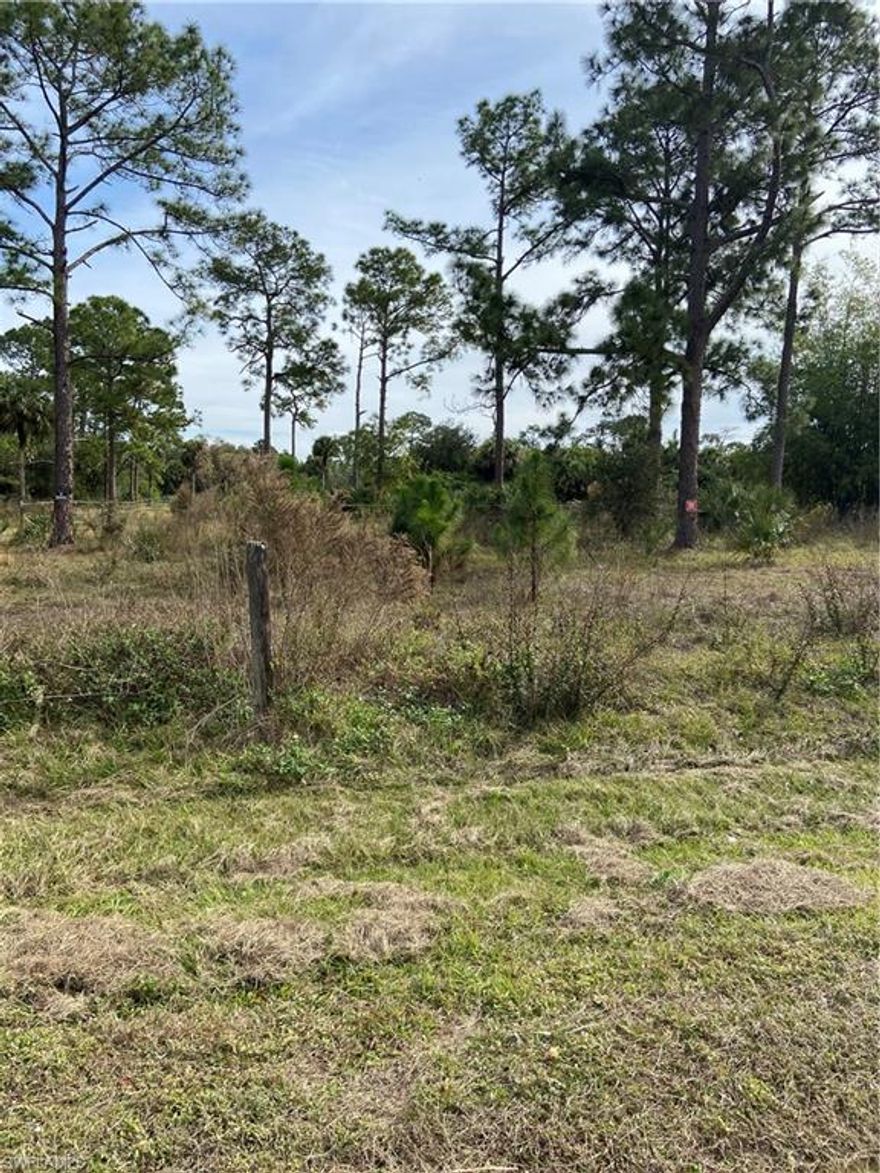 Location... Location...Location....Dead End Street....... ALL UPLANDS...See Attached DEP Report in Supplements....You won't want to miss this opportunity to build your dream home on this great parcel of land...just a short distance from the upcoming development of The Point at Founders Square which will feature some of your favorite restaurants, Outback Steakhouse, Skillets, Tacos and Tequila, Chick Fill-A just to name a few.  Not to mention an 18 hole miniature golf course and the new Paradise Coast Sports Complex for you and your family's enjoyment.  Last but certainly not least there are two Charter Schools located only minutes away as well!