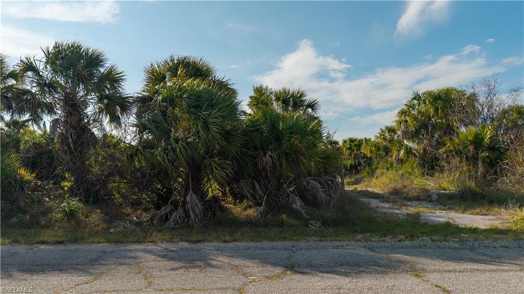 PORT CHARLOTTE - Land