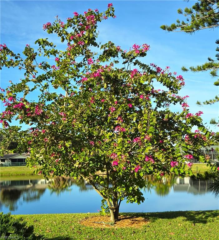BAYSHORE ESTATES SUBDIVISION - Residential