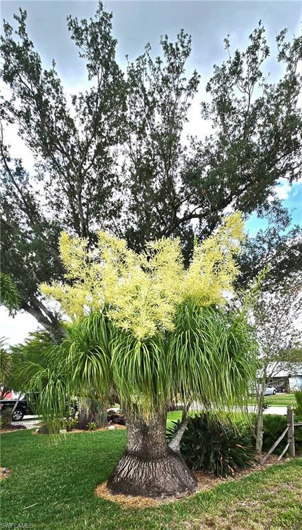 BAYSHORE ESTATES SUBDIVISION - Residential