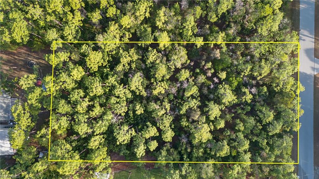 SAN CARLOS ESTATES - Land