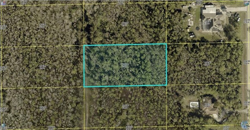 Oversized 1.25-acre vacant residential lot located in San Carlos Estates in the City of Bonita Springs. Opportunity for a custom home build. No HOA fees. Survey available. City water and electric are nearby. Property is designated 100% wetlands; price reflects current condition. Buyer to conduct all due diligence regarding zoning, permitted use, and buildability. Conveniently located between U.S. 41 and Interstate 75 with easy access to shopping, dining, beaches, and Southwest Florida International Airport.