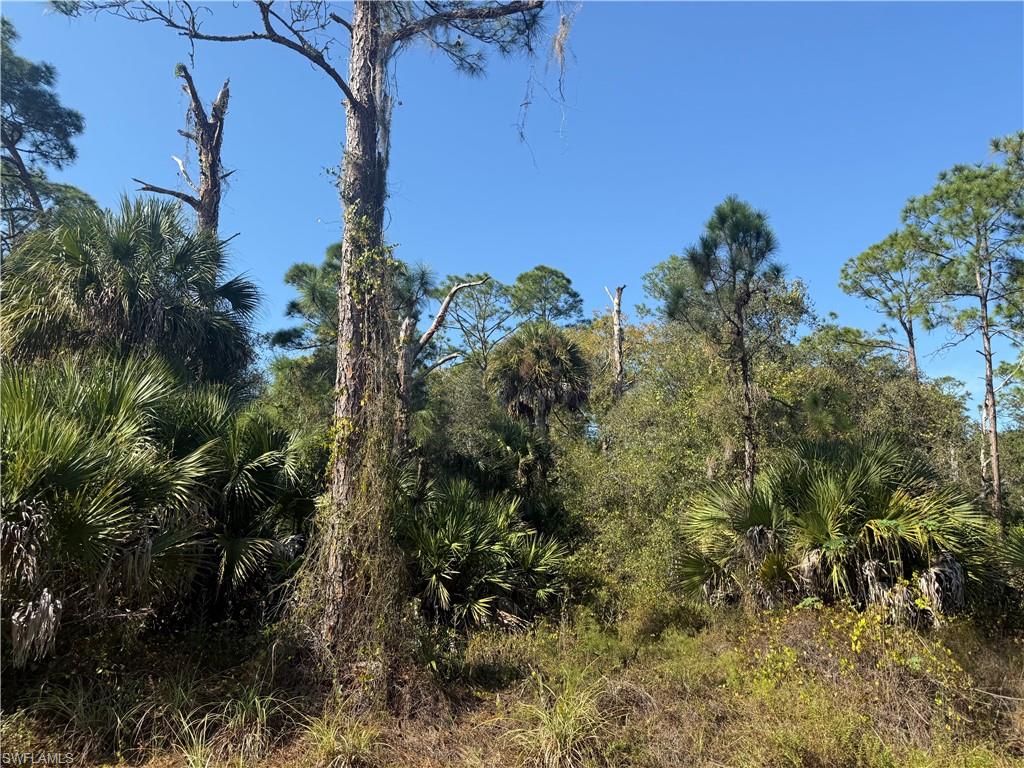 MONTURA RANCH ESTATES - Land