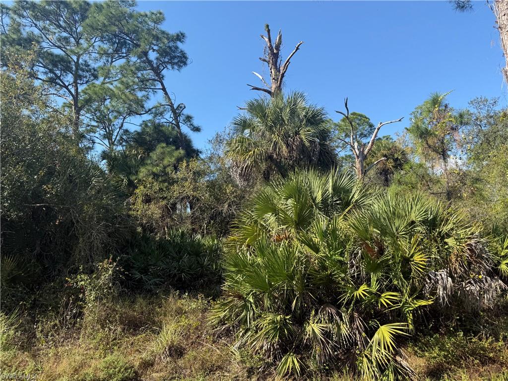 MONTURA RANCH ESTATES - Land