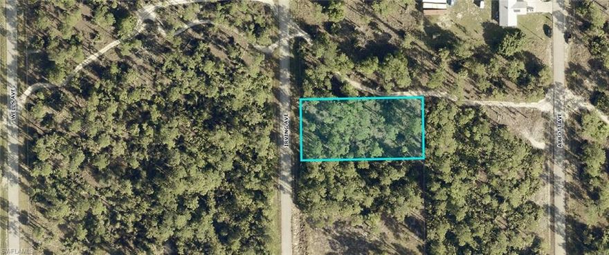 Great half acre parcel located on a paved road with electric right at the front of this parcel! Located just south of Leeland Heights Blvd. and east of Joel this location will allow commuting around SW Florida to be super convenient! This is one of the LOWEST listed lots in the area! Buy now & build or hold this parcel for future development! Taxes are LOW!