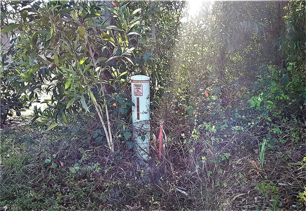 SOUTH PUNTA GORDA HEIGHTS - Land