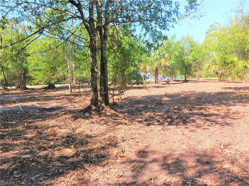 SOUTH PUNTA GORDA HEIGHTS - Land