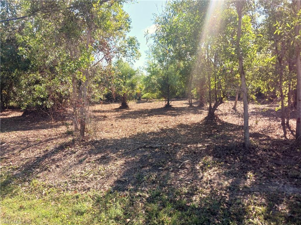 SOUTH PUNTA GORDA HEIGHTS - Land