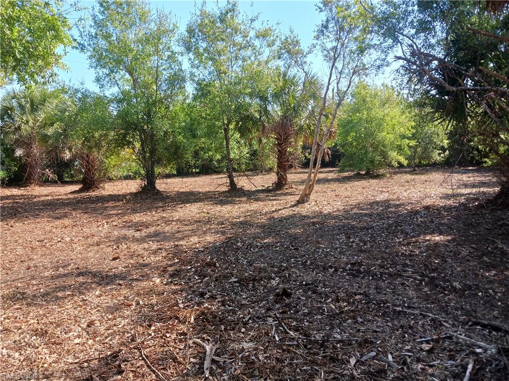 SOUTH PUNTA GORDA HEIGHTS - Land