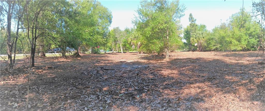 SOUTH PUNTA GORDA HEIGHTS - Land