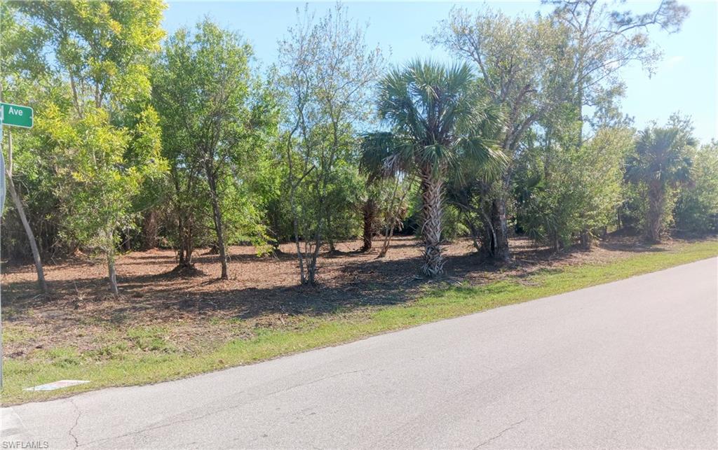 SOUTH PUNTA GORDA HEIGHTS - Land