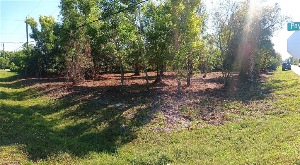 SOUTH PUNTA GORDA HEIGHTS - Land