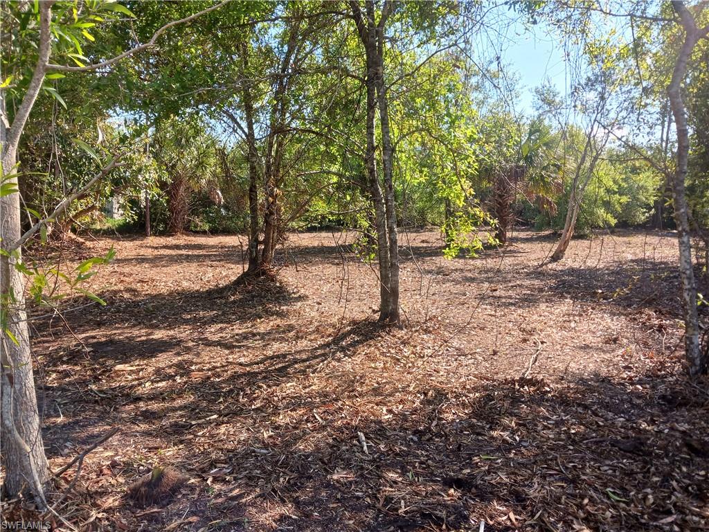 SOUTH PUNTA GORDA HEIGHTS - Land