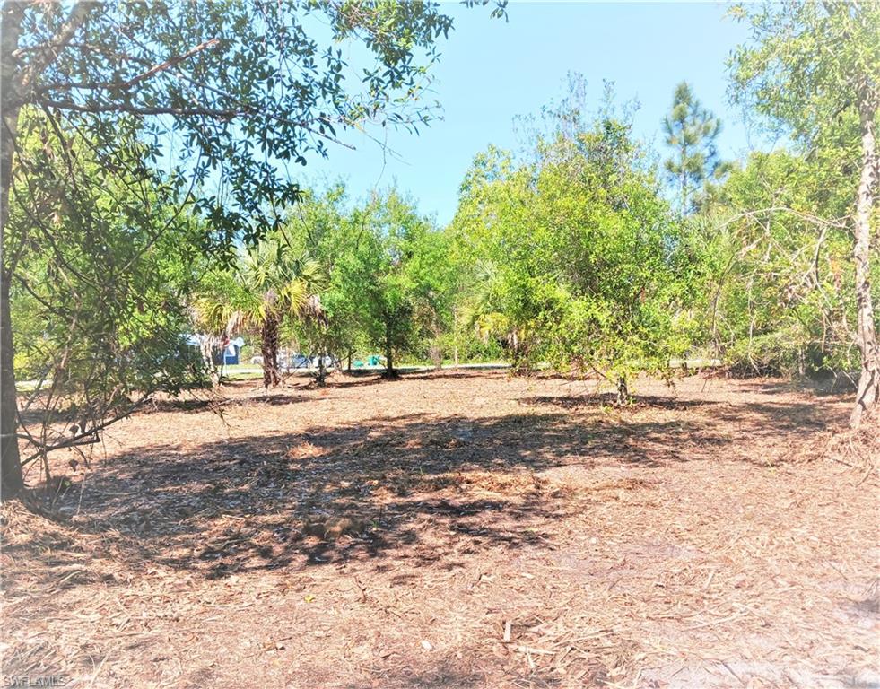 SOUTH PUNTA GORDA HEIGHTS - Land