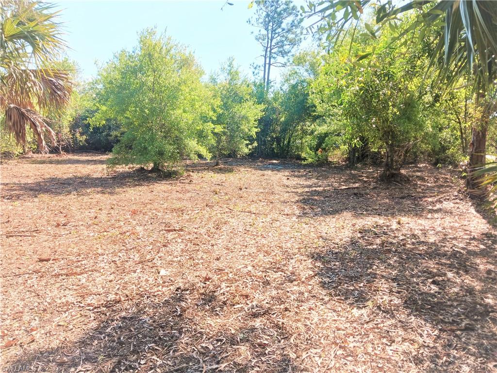 SOUTH PUNTA GORDA HEIGHTS - Land