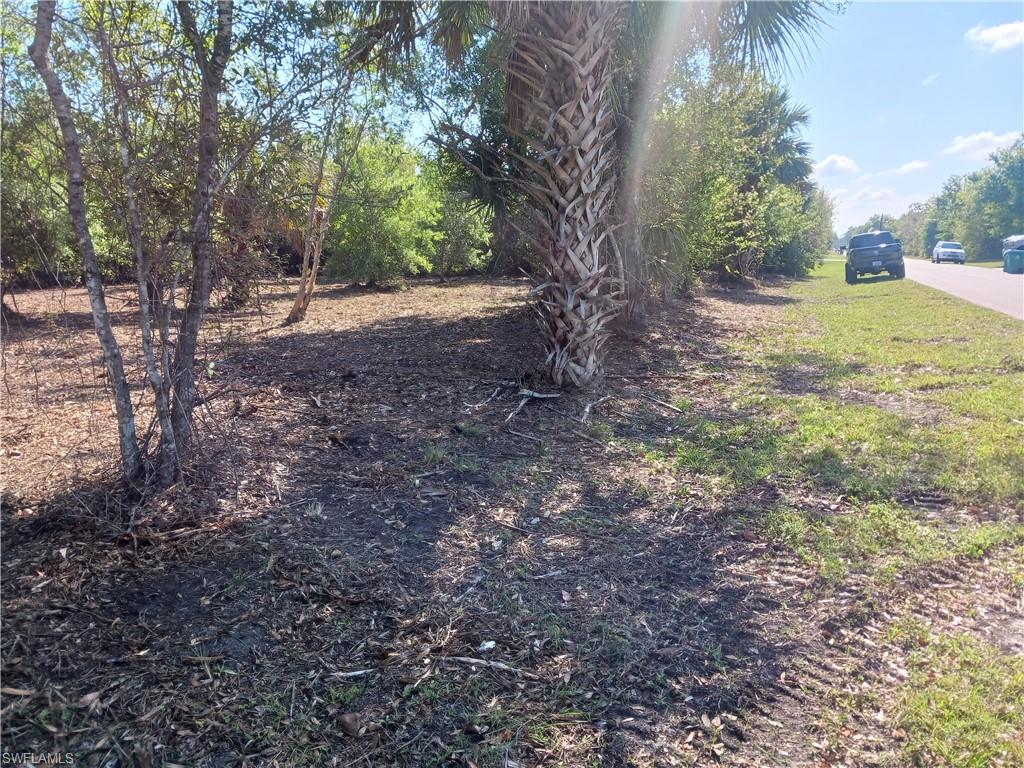 SOUTH PUNTA GORDA HEIGHTS - Land