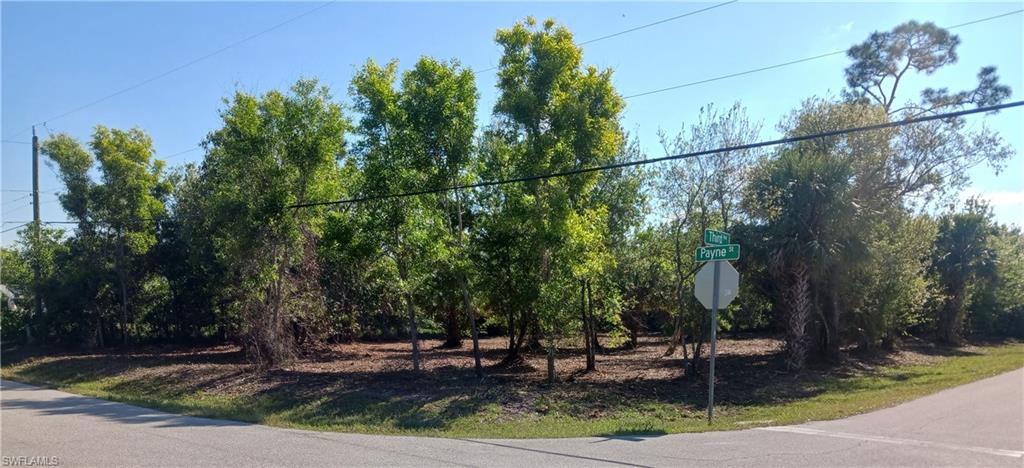 SOUTH PUNTA GORDA HEIGHTS - Land