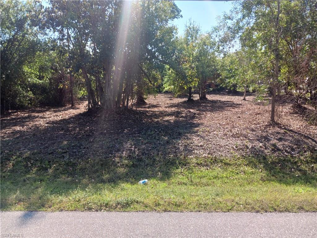 SOUTH PUNTA GORDA HEIGHTS - Land