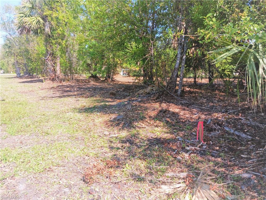 SOUTH PUNTA GORDA HEIGHTS - Land