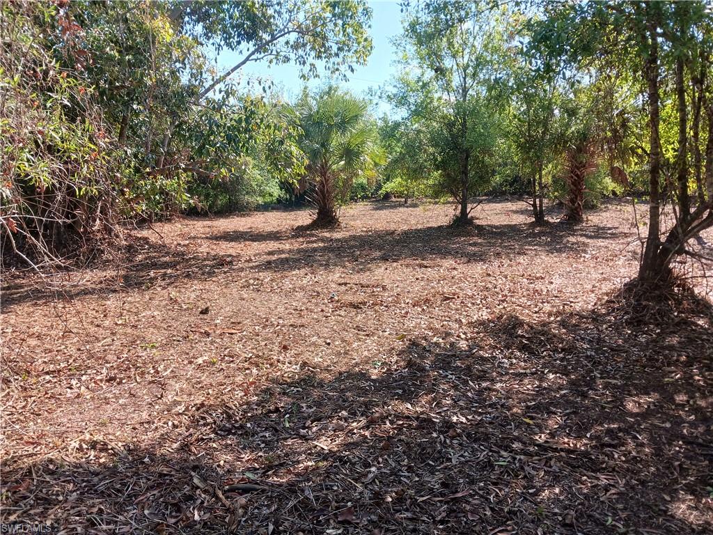 SOUTH PUNTA GORDA HEIGHTS - Land