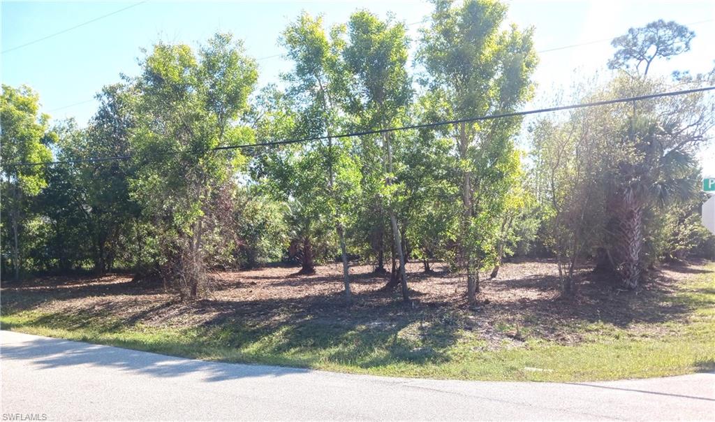 SOUTH PUNTA GORDA HEIGHTS - Land