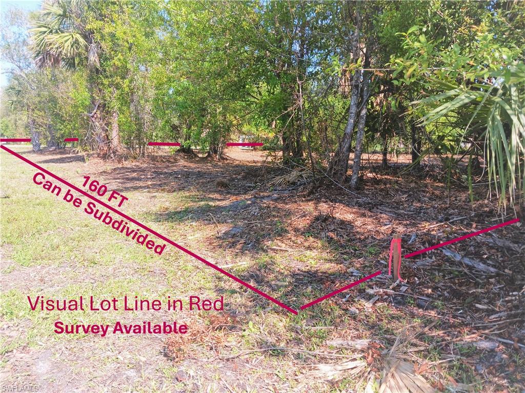 SOUTH PUNTA GORDA HEIGHTS - Land