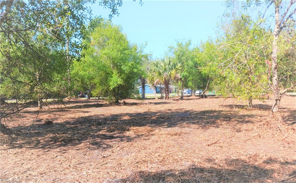 SOUTH PUNTA GORDA HEIGHTS - Land