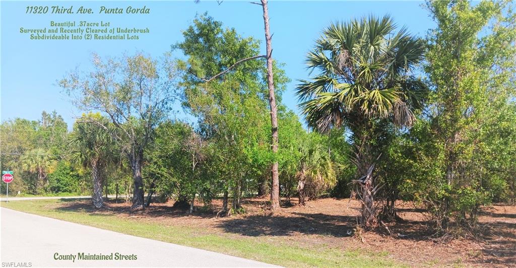 SOUTH PUNTA GORDA HEIGHTS - Land