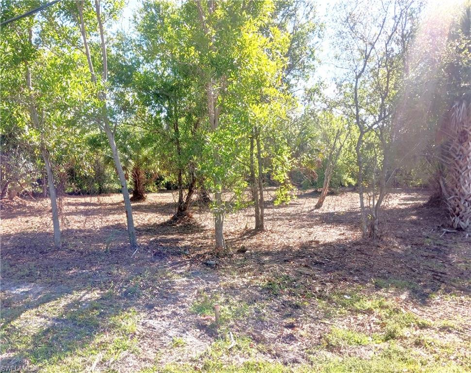 SOUTH PUNTA GORDA HEIGHTS - Land