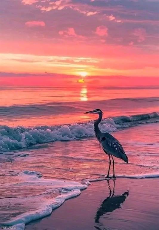 NAPLES PARK - Residential