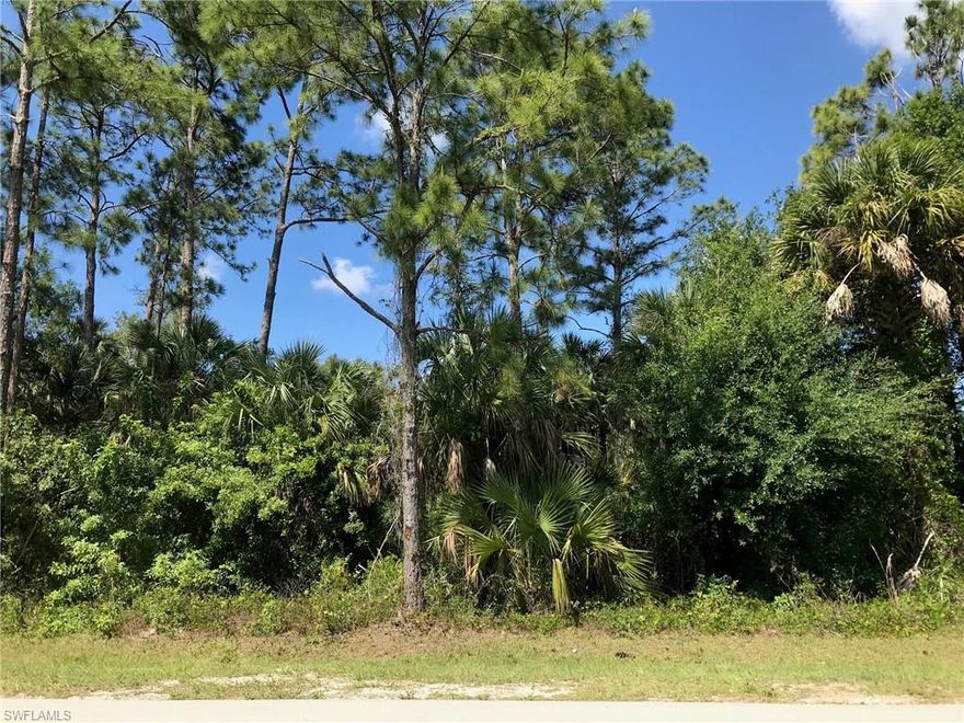 Enjoy the peaceful, country lifestyle of Golden Gate Estates, just minutes from the splendor and beautiful beaches of Naples, Florida. Build the home of your dreams on this wonderful 1.14 acre partially wooded lot. Zoning allows 2 horses per acre. Property is 100% Uplands per the 2006 DEP Wetland Determination report attached. Beautiful property with lots of nice pines and palms.