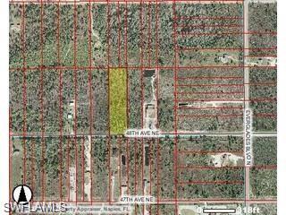 GOLDEN GATE ESTATES - Land