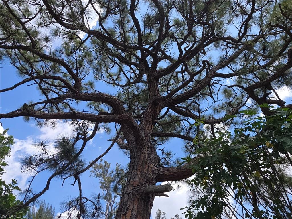 FORT MYERS - Residential Lease