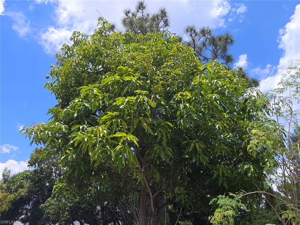 FORT MYERS - Residential Lease