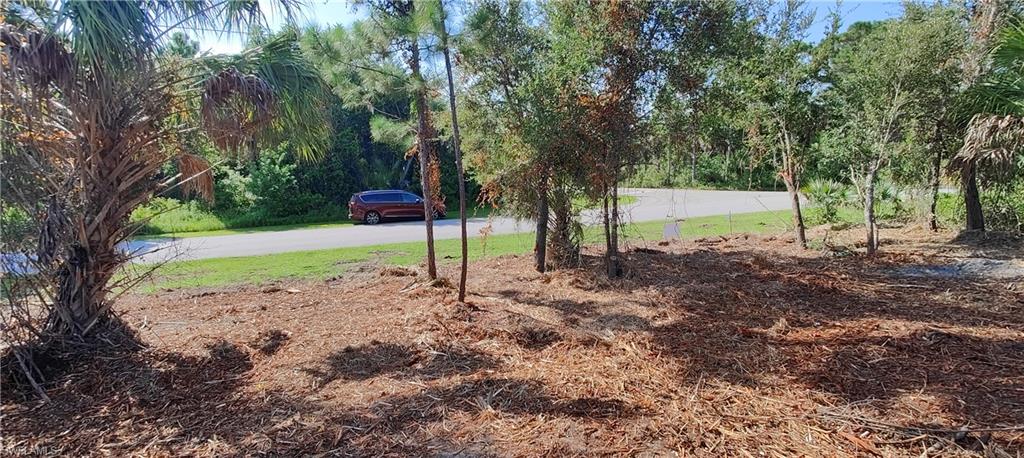 PORT CHARLOTTE - Land