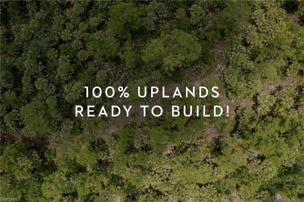 GOLDEN GATE ESTATES - Land